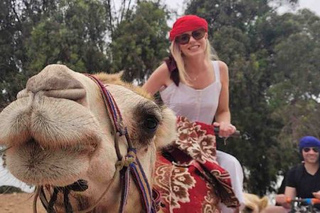 Best Camel Ride Activity in Agadir