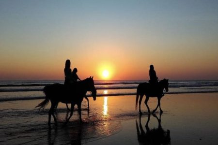 Agadir Camel and Horse Riding