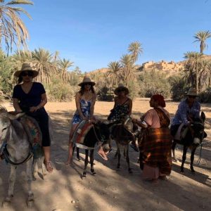 Agadir to Taroudant Tiout Day Tour