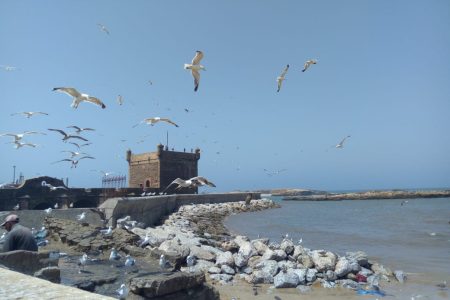 Agadir to Essaouira Tour