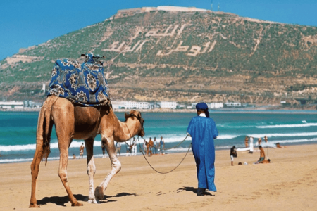 Agadir Shore Excursion: Private Half-Day City Tour with Lunch